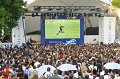 Fanmeile2306_I      084
